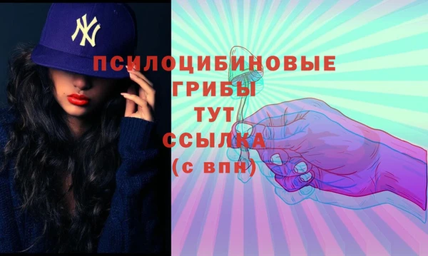 амф Баксан
